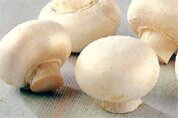Closed cup mushrooms