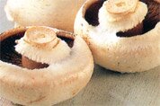 Open cup mushrooms