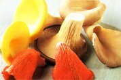 Oyster mushrooms